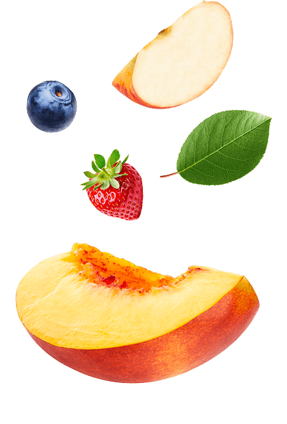 Healthy Nutrition