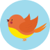 Profile Img